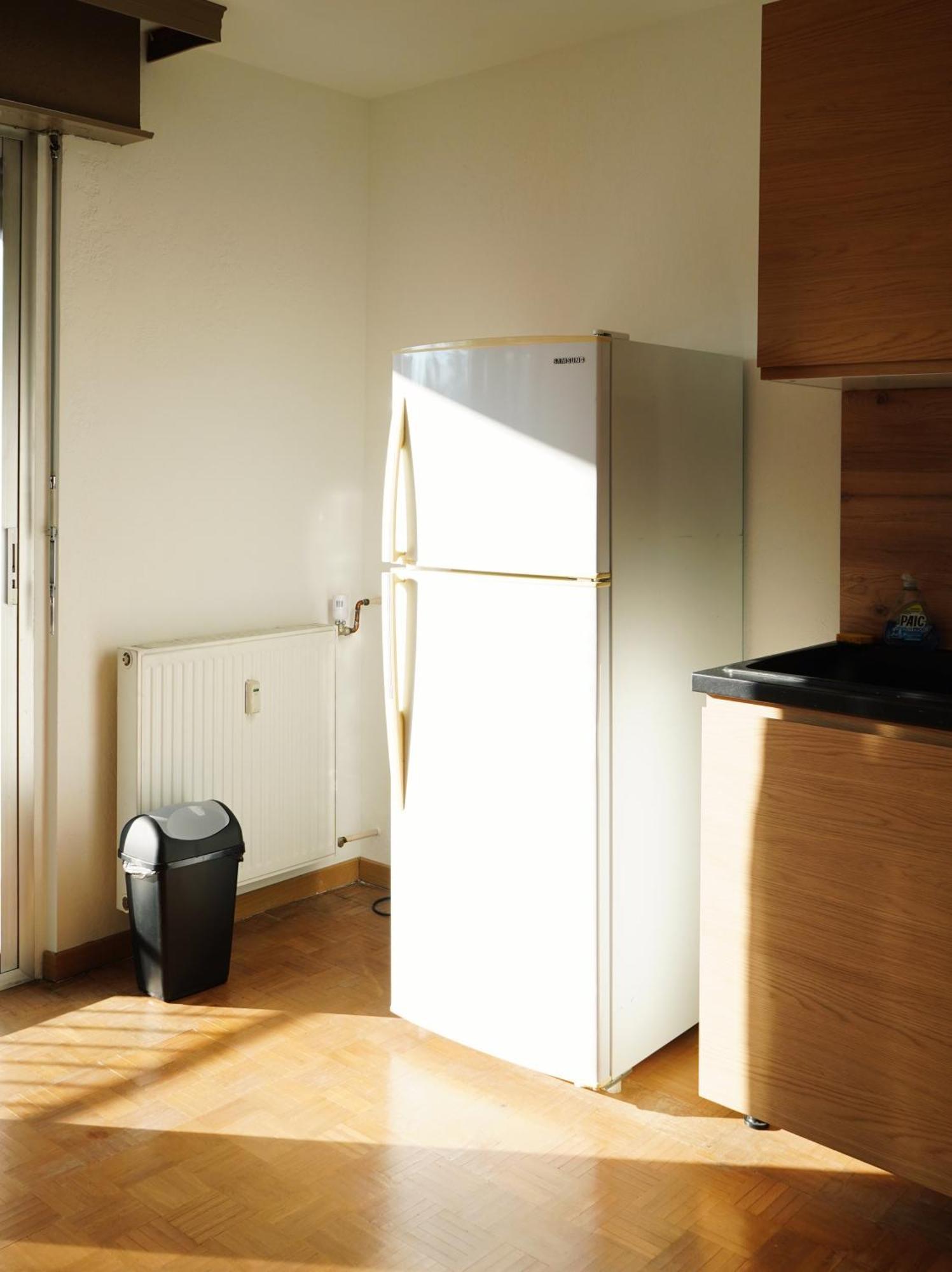 Apartement Saint Louis Train Station- Euroairport- Basel Extérieur photo